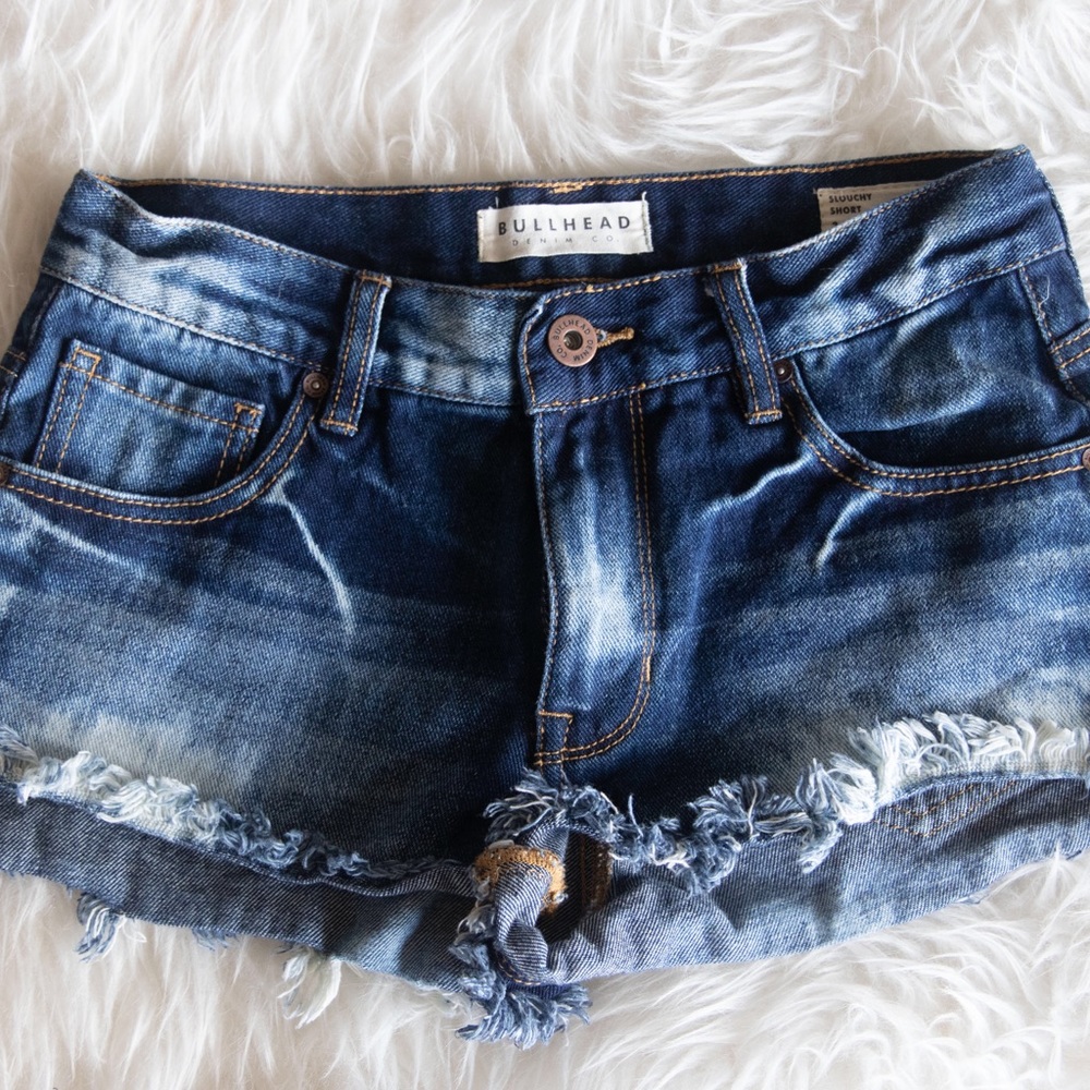 PacSun Slouchy Shorts